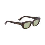 Tortoise ETEZEA sunglasses
