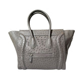 Ostrich leather expandable bag