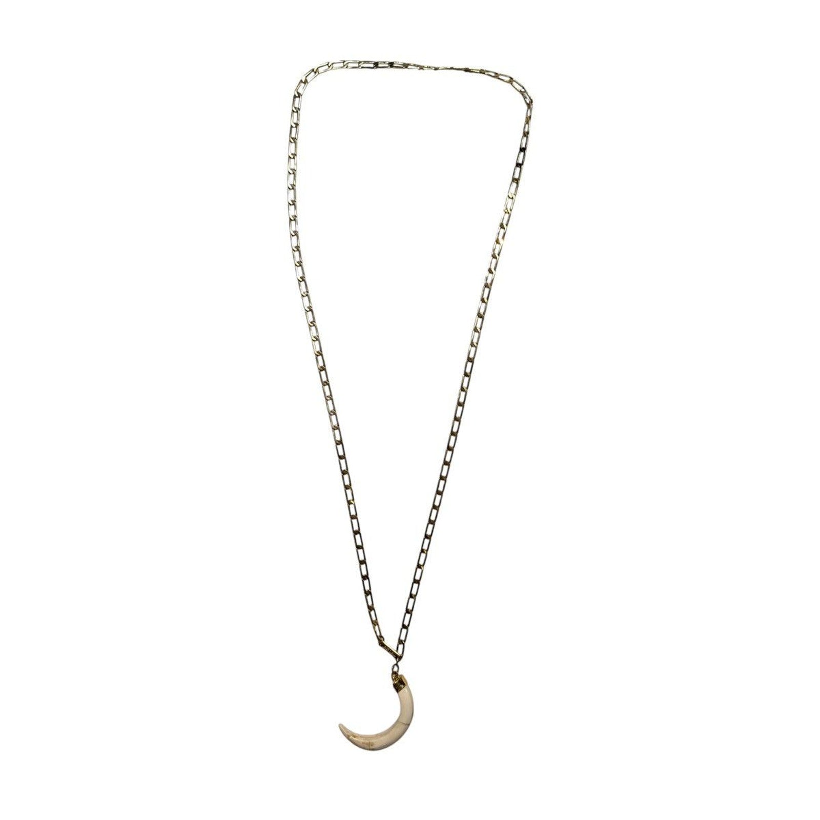 Tiger tooth necklace