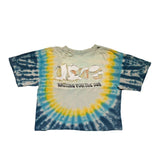 The doors waiting for the sun vintage tee